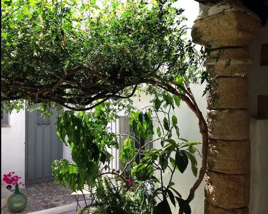 Casa La Pila-Fondaantigua Daire Vejer de la Frontera Dış mekan fotoğraf